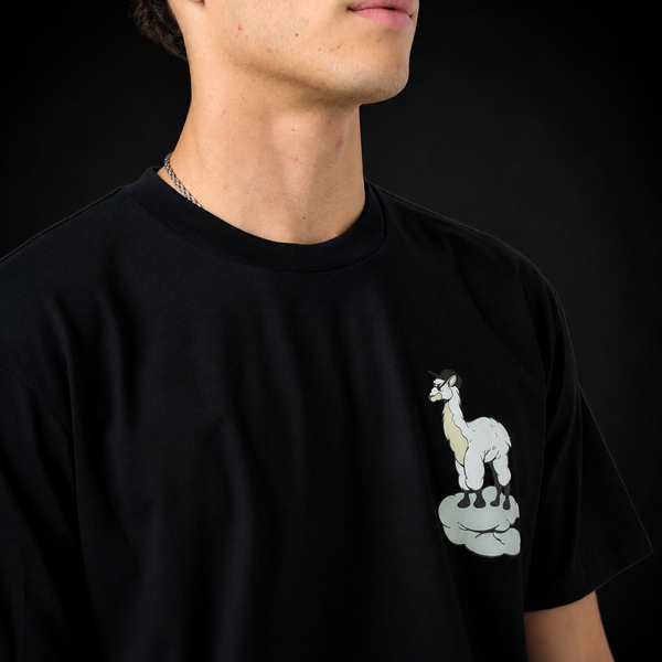 Llama Loco T-Shirt